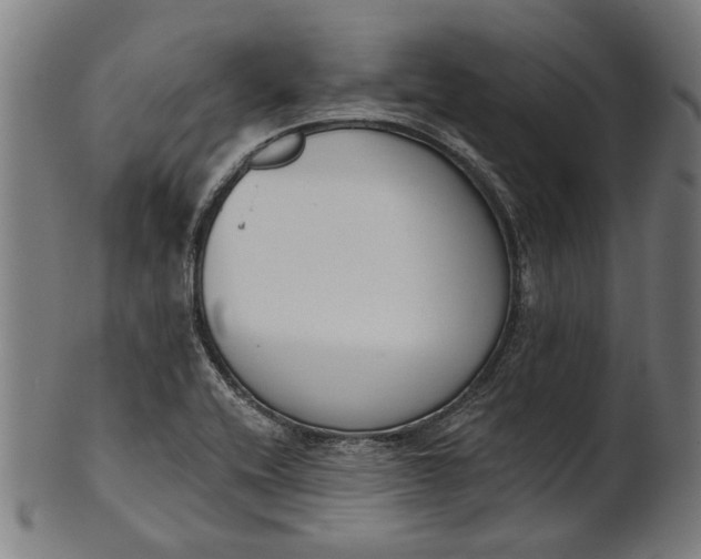 X0000101201416200807110958