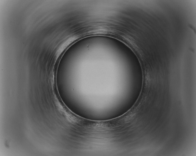 X0000101201418200807110958