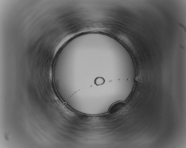 X0000101201420200807110958