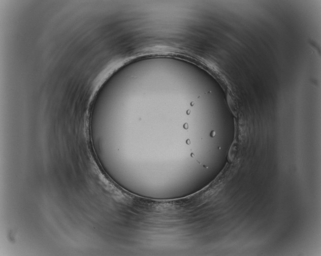 X0000101201421200807110958