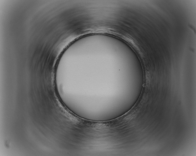 X0000101201424200807110958
