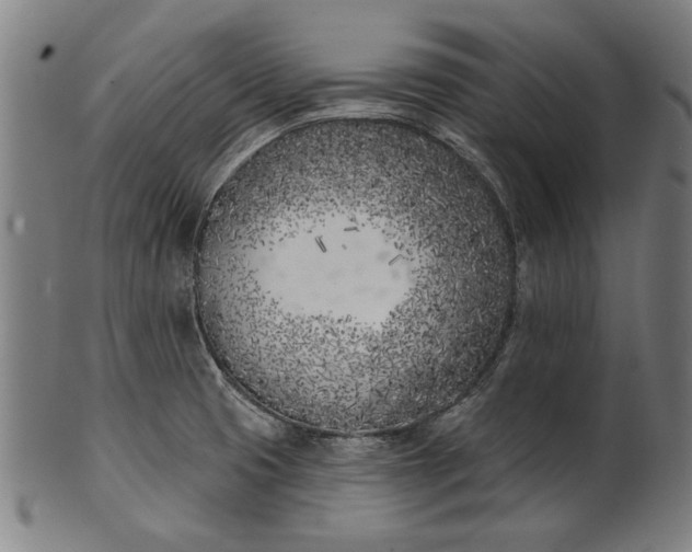 X0000101201425200807110958
