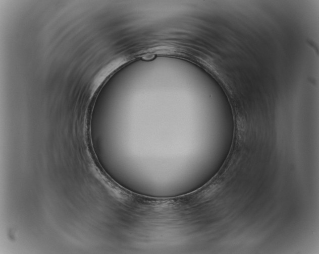 X0000101201426200807110958