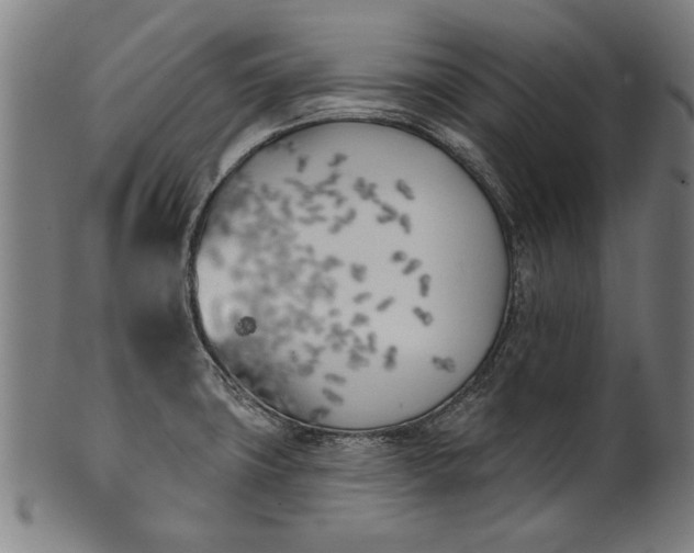 X0000101201427200807110958