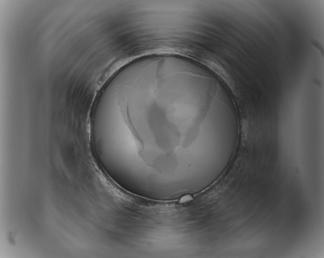 X0000101201428200807110958