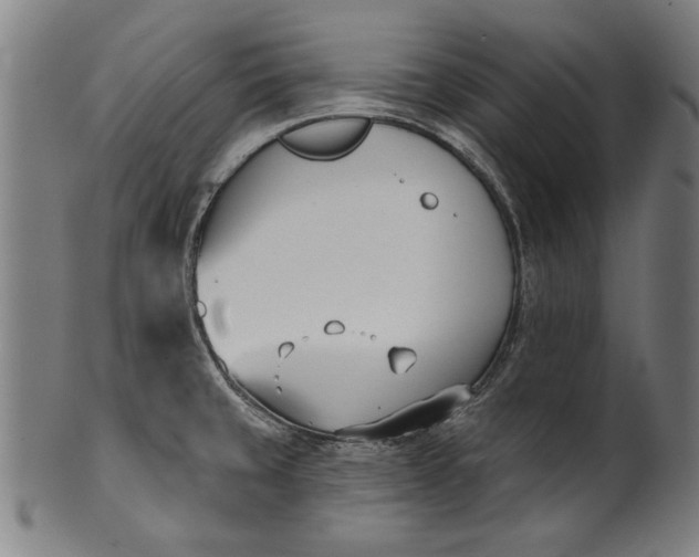 X0000101201429200807110958