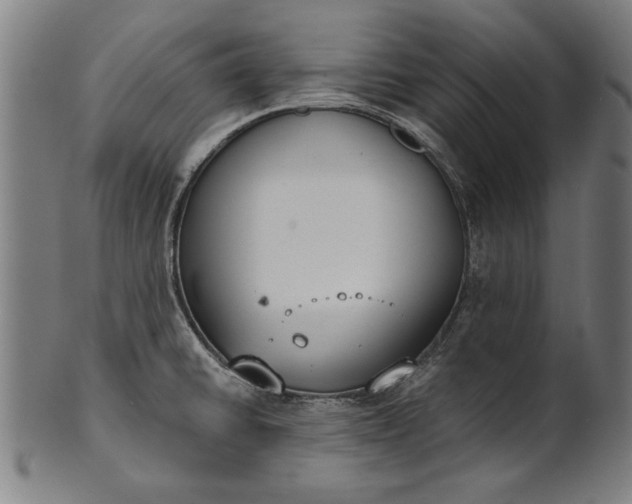 X0000101201430200807110958