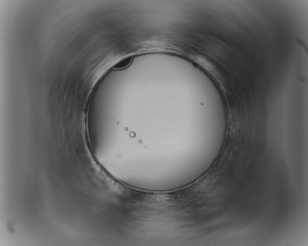 X0000101201431200807110958