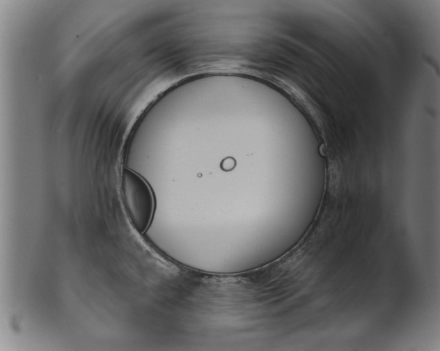 X0000101201432200807110958