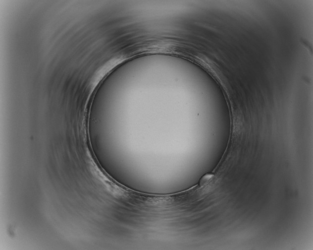 X0000101201434200807110958