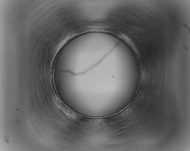 X0000101201435200807110958