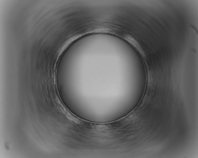 X0000101201436200807110958