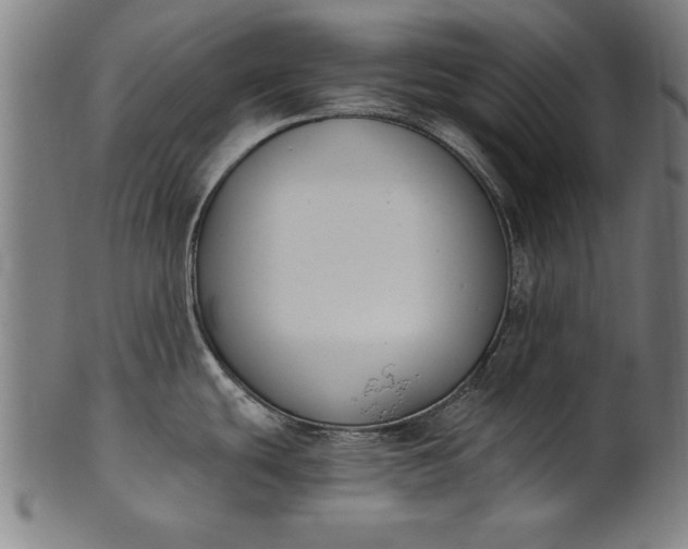 X0000101201439200807110958