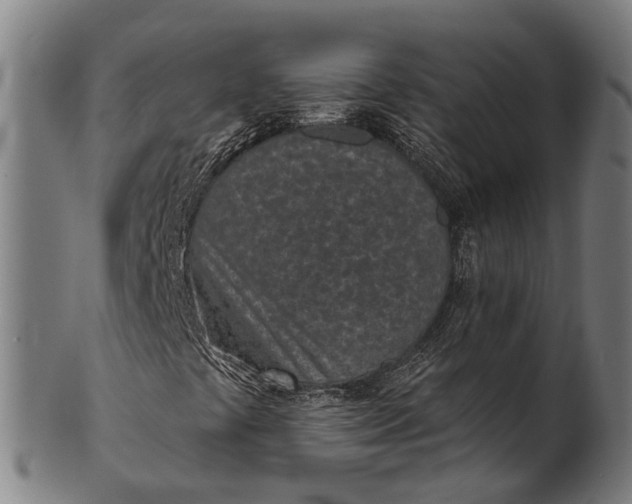 X0000101201441200807110957