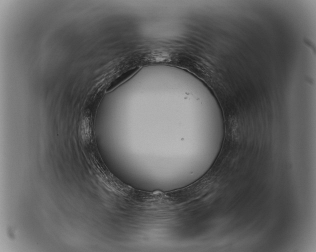 X0000101201442200807110957