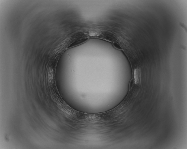 X0000101201443200807110957