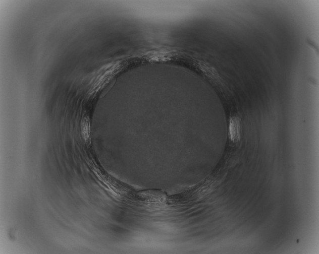 X0000101201444200807110957