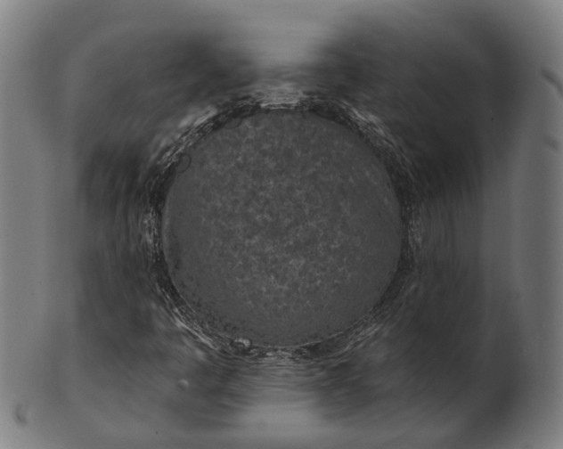 X0000101201445200807110957