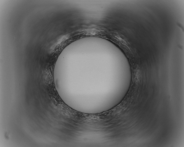 X0000101201446200807110957