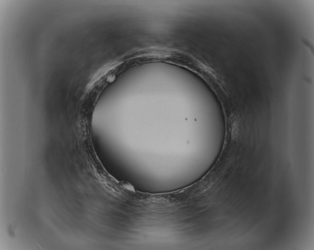 X0000101201448200807110957