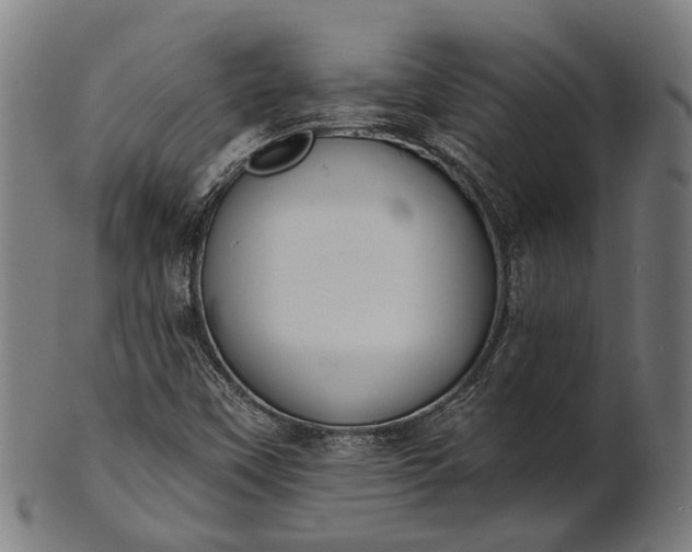 X0000101201451200807110957