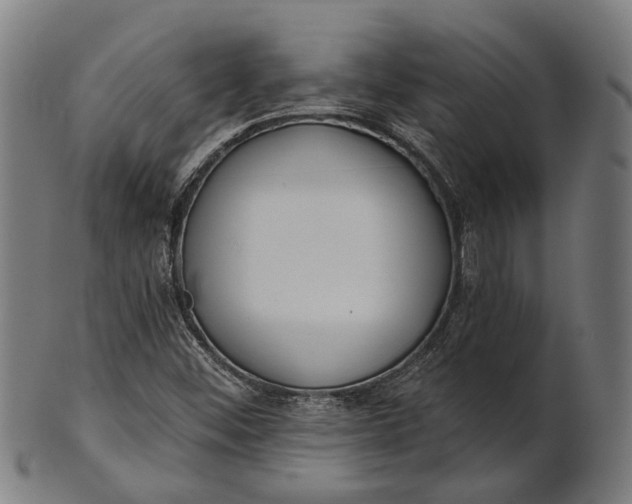 X0000101201452200807110957