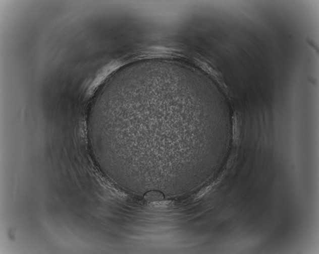 X0000101201453200807110957
