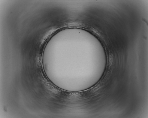 X0000101201454200807110957