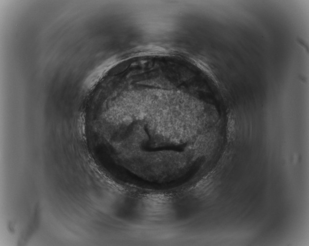 X0000101201455200807110957