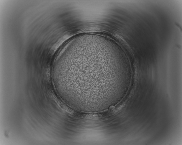 X0000101201457200807110957