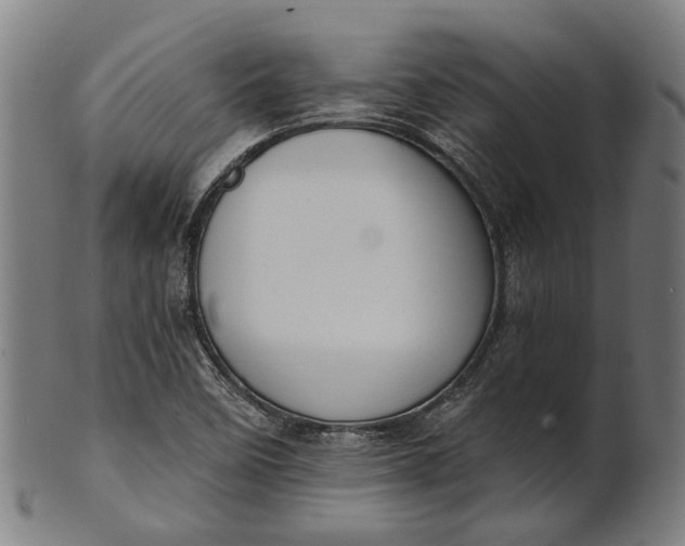 X0000101201458200807110957