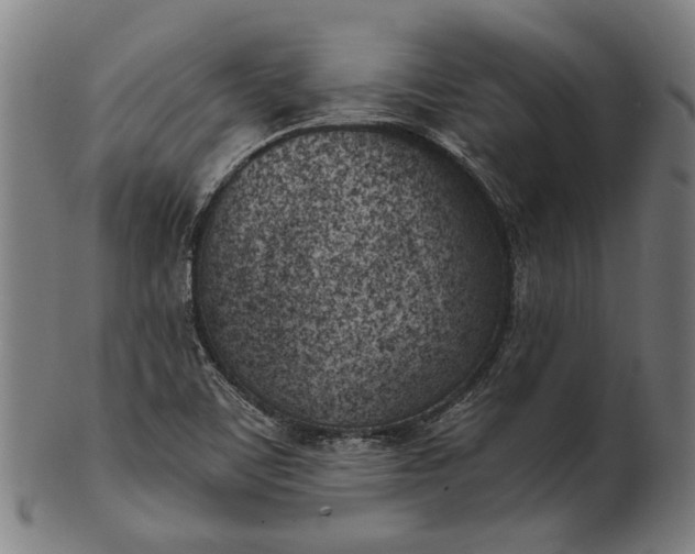 X0000101201459200807110957