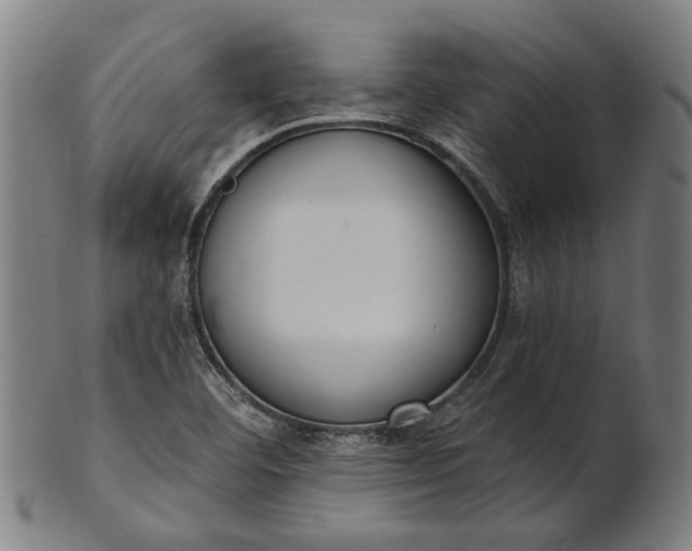 X0000101201460200807110957