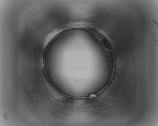 X0000101201461200807110957