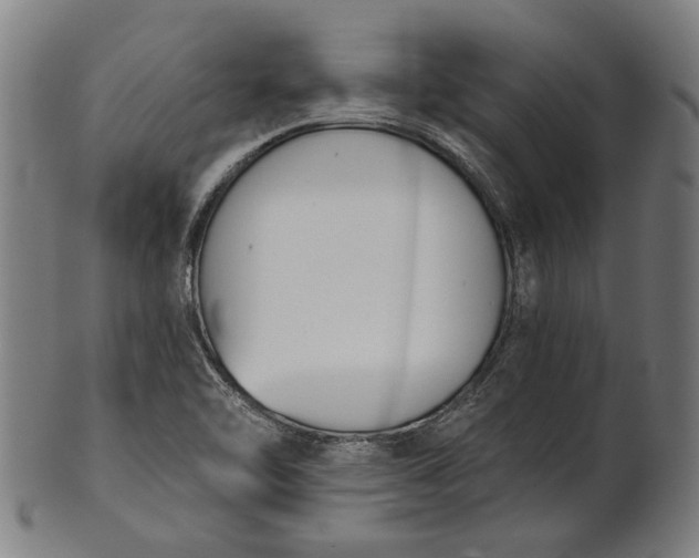 X0000101201462200807110957