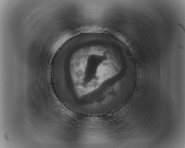 X0000101201463200807110957
