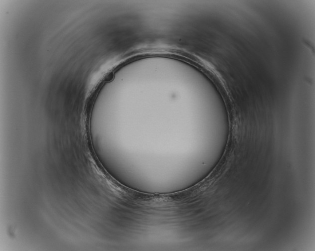X0000101201464200807110957