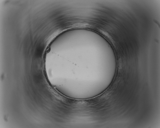 X0000101201467200807110957