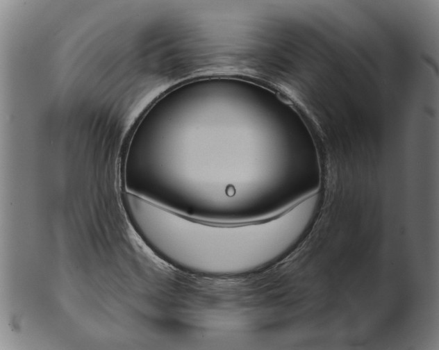 X0000101201468200807110957