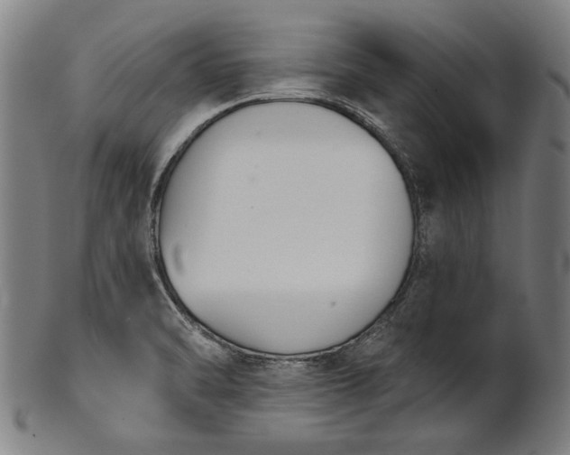 X0000101201470200807110957