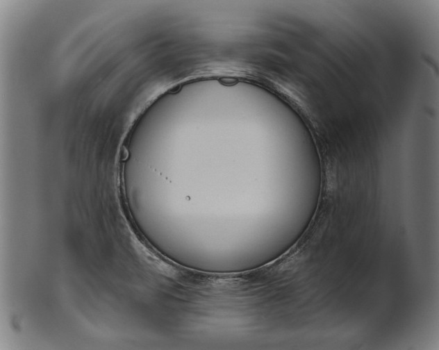 X0000101201471200807110957