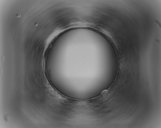 X0000101201472200807110957