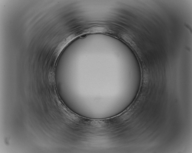 X0000101201473200807110957