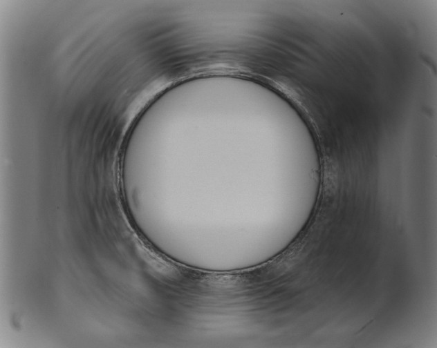 X0000101201474200807110957
