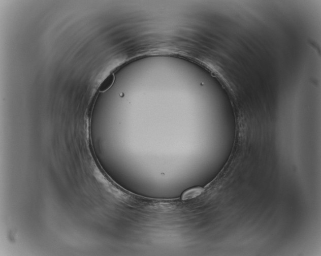 X0000101201476200807110957