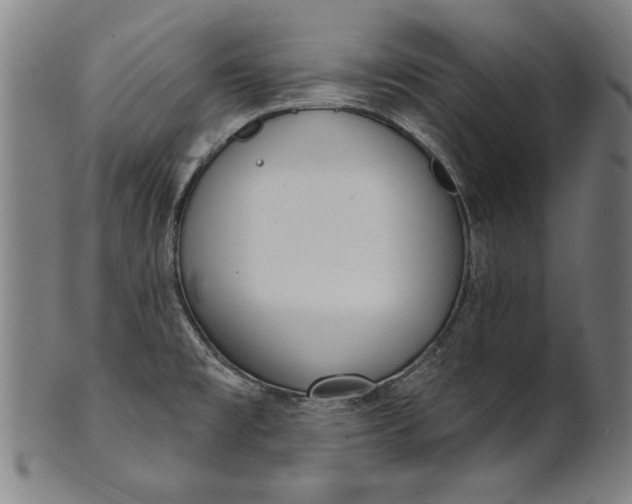 X0000101201477200807110957