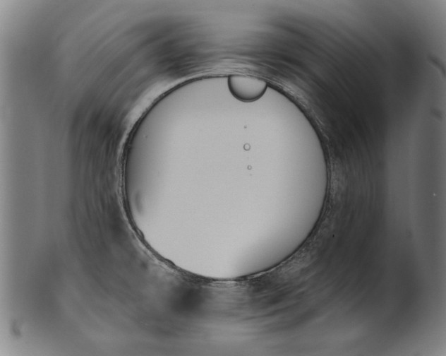 X0000101201478200807110957