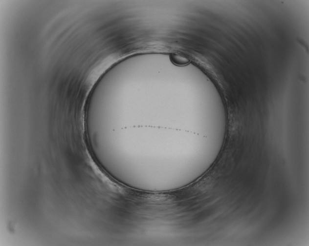 X0000101201479200807110957