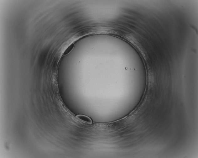 X0000101201481200807110957