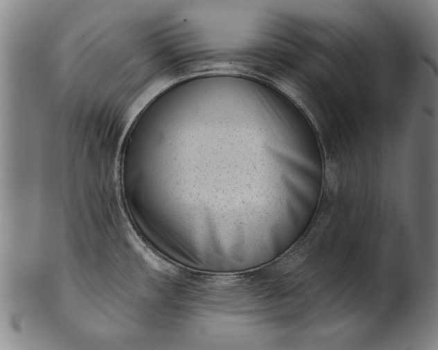 X0000101201482200807110957